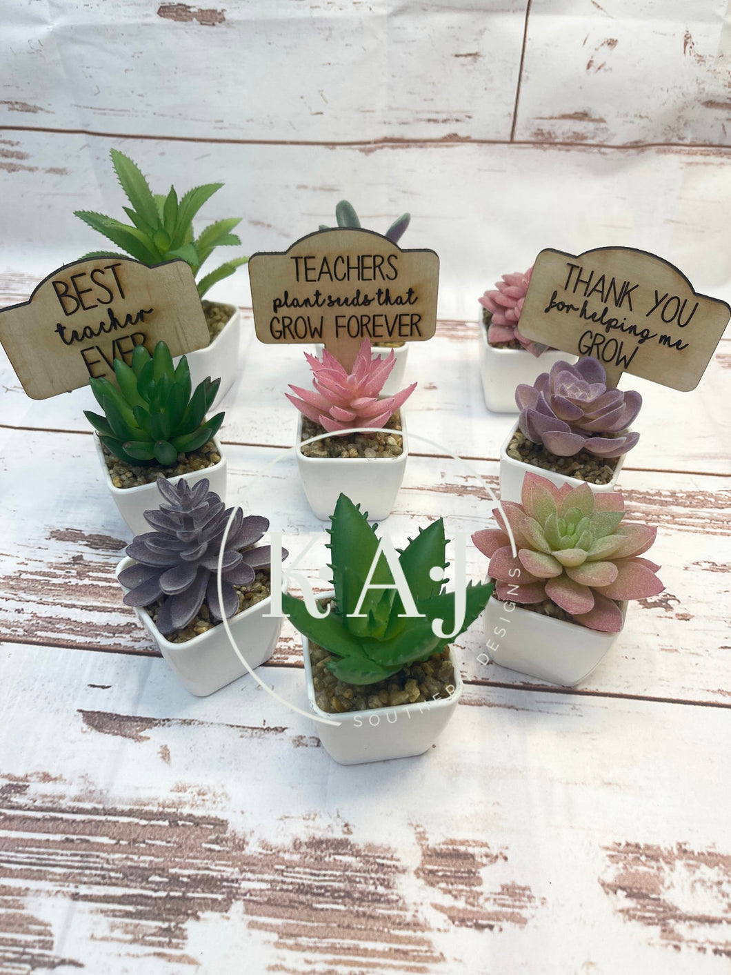 Best Teacher Gift,Teacher Appreciation Week,Teacher Gifts Small,Succulent Teacher Gift,Best Teacher Ever,Teachers Plant Seeds