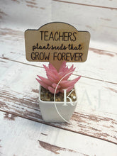 Load image into Gallery viewer, Best Teacher Gift,Teacher Appreciation Week,Teacher Gifts Small,Succulent Teacher Gift,Best Teacher Ever,Teachers Plant Seeds
