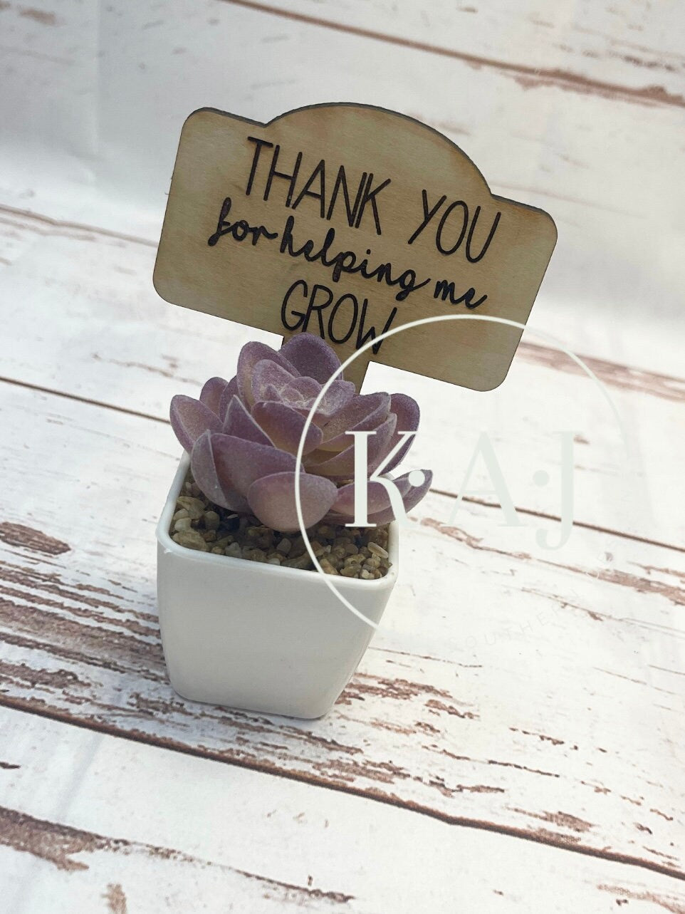Best Teacher Gift,Teacher Appreciation Week,Teacher Gifts Small,Succulent Teacher Gift,Best Teacher Ever,Teachers Plant Seeds