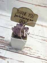 Load image into Gallery viewer, Best Teacher Gift,Teacher Appreciation Week,Teacher Gifts Small,Succulent Teacher Gift,Best Teacher Ever,Teachers Plant Seeds
