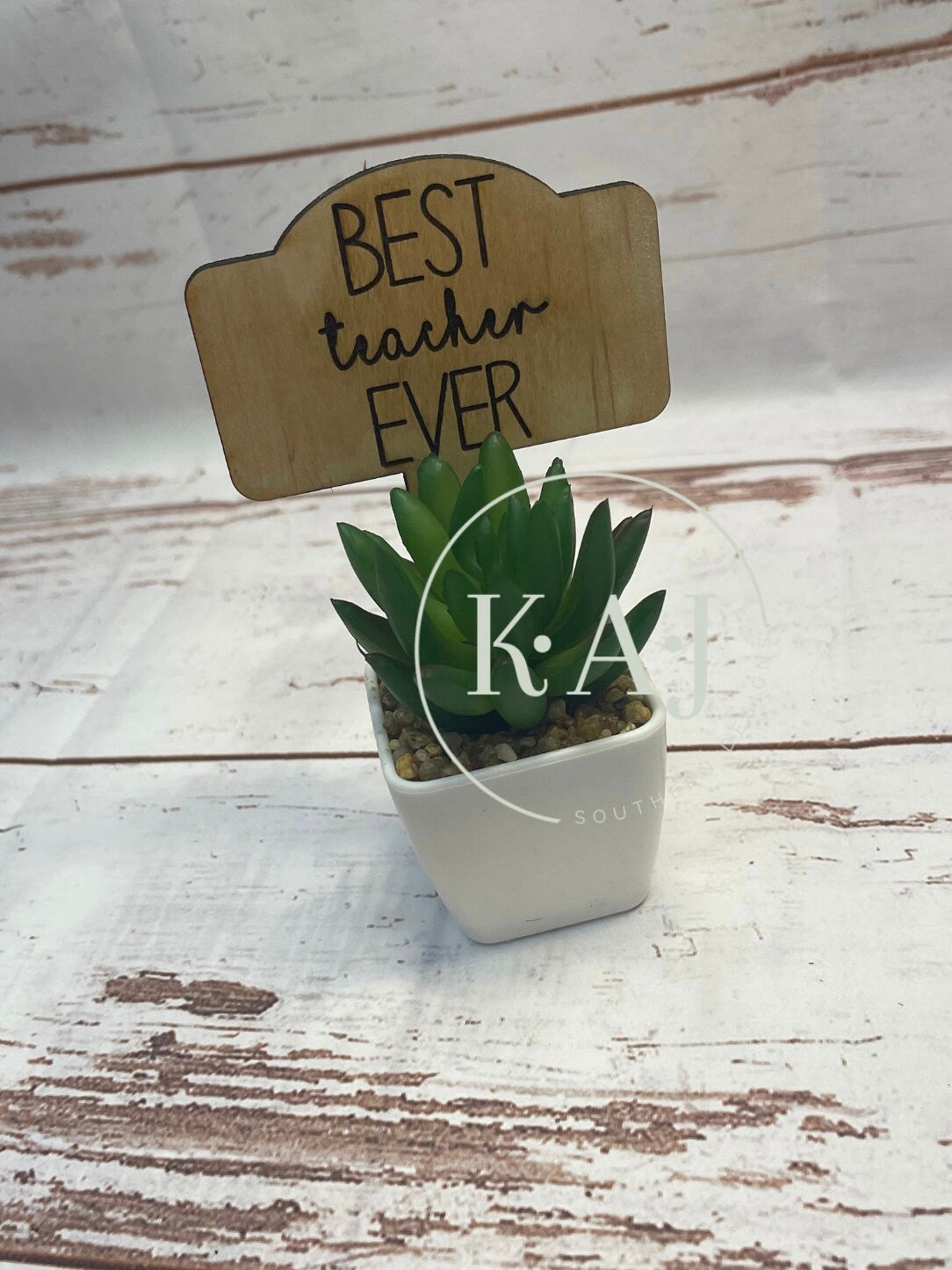 Best Teacher Gift,Teacher Appreciation Week,Teacher Gifts Small,Succulent Teacher Gift,Best Teacher Ever,Teachers Plant Seeds