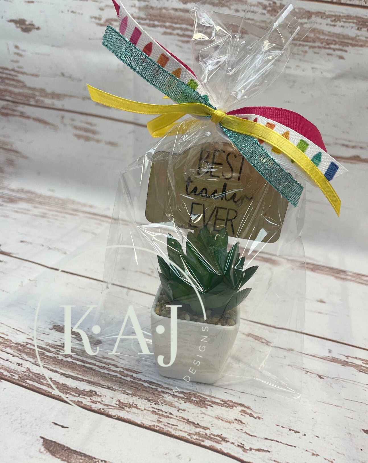 Best Teacher Gift,Teacher Appreciation Week,Teacher Gifts Small,Succulent Teacher Gift,Best Teacher Ever,Teachers Plant Seeds